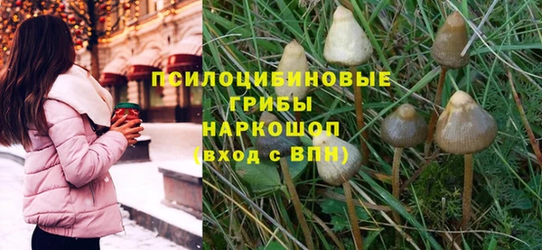 a pvp Дмитров