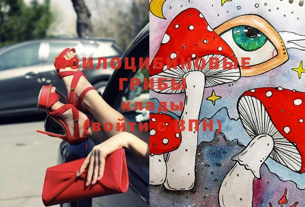 прущий лед Дмитровск