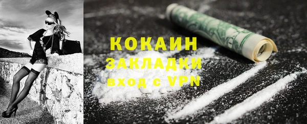 стафф Дмитриев