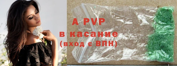 стафф Дмитриев