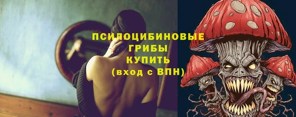 a pvp Дмитров