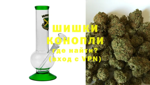 стафф Дмитриев